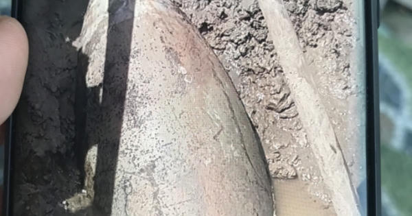 Bạc Liêu và Cần Thơ phát hiện bom đạn khi bơm cát san lấp công trình