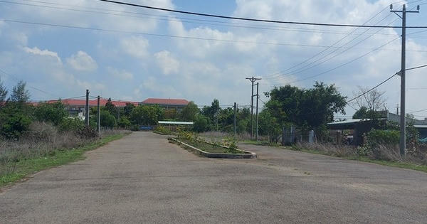 Phát hiện 196 lô đất giao sai quy định tại huyện Đất Đỏ