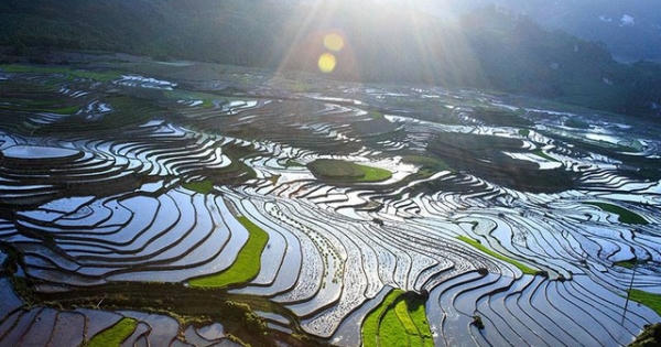 Ruộng bậc thang Sa Pa mùa nước đổ đẹp như tranh thủy mạc