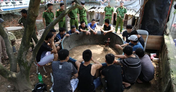 Bắc Ninh: Bắt quả tang 15 đối tượng chơi đá gà, thu giữ hơn 50 triệu đồng