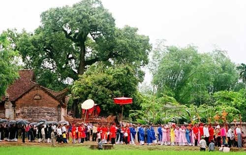 Bắc Giang: Lễ hội " Đại thụ Dã Hương nghìn năm tuổi" (Tiên Lục - Lạng Giang - Bắc Giang)