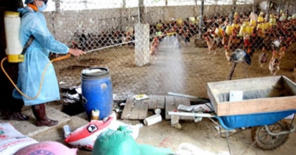 Hỗ trợ 3 địa phương phòng, chống dịch bệnh