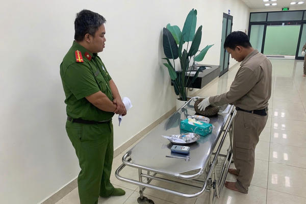 Phát hiện cá thể Tê tê quý hiếm, người dân giao nộp cho Công an Phát hiện cá thể Tê tê quý hiếm, người dân giao nộp cho Công an