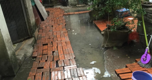 Vụ 146 Quán Thánh: Cống chung lại có dấu hiệu bị chặn, bịt?