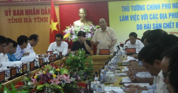 Điều tra nguyên nhân 'biển chết', không ai được bao che