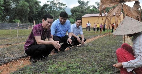 Bí thư Tỉnh ủy Hà Giang xác nhận nhiều người nhà "làm quan" là có thật