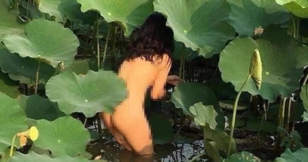 Đầm Sen không có tội