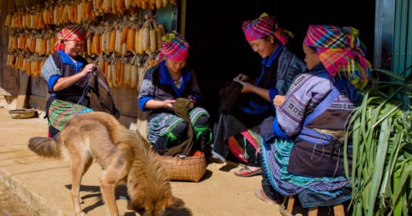 Mù Cang Chải bình lặng ngày đông
