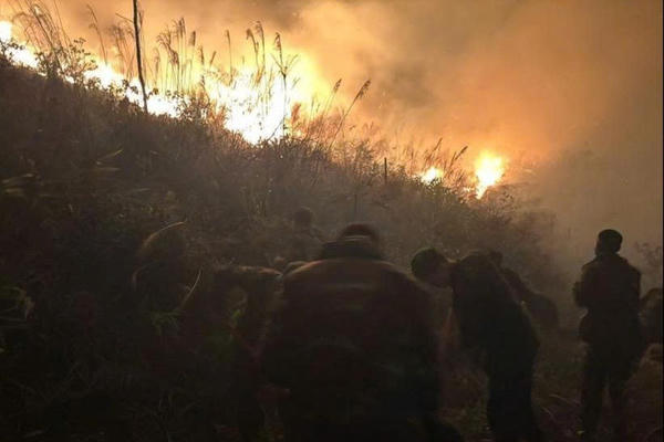 Kịp thời khống chế đám cháy rừng tại Tuần Châu