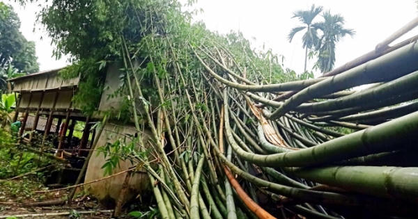 Lào Cai: Giông lốc trên diện rộng khiến ít nhất 71 nhà dân bị tốc mái và 2 người bị thương