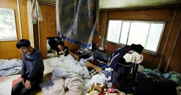 Quấy rối tình dục, cưỡng bức lao động...sự thật trong cuộc sống “địa ngục” của tu nghiệp sinh Nhật Bản