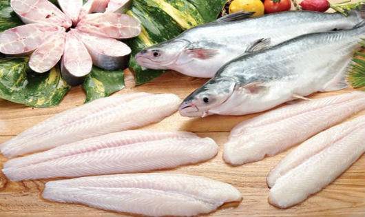 Cá tra khởi sắc trở lại tại thị trường EU
