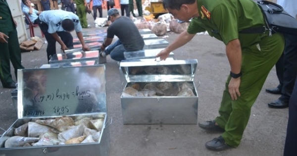 Đề xuất nghiền nát ngà voi, sừng tê giác lậu ở Hoàng Thành Thăng Long Đề xuất nghiền nát ngà voi, sừng tê giác lậu ở Hoàng Thành Thăng Long