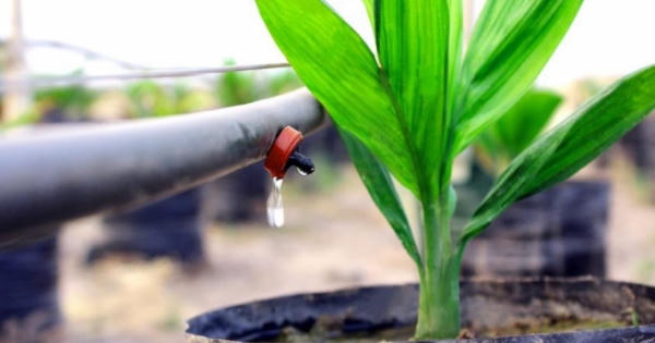 8 chính sách mới có hiệu lực từ tháng 6/2018