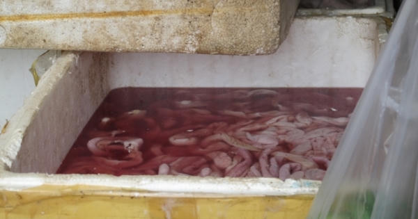 Tuyên Quang: Bắt giữ xe tải chở hơn 700kg nội tạng đã thối rữa Tuyên Quang: Bắt giữ xe tải chở hơn 700kg nội tạng đã thối rữa