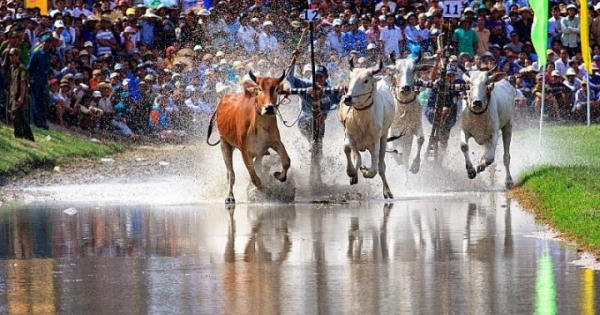 Nước tăng lực Number 1 và câu chuyện bảo tồn văn hóa truyền thống Nước tăng lực Number 1 và câu chuyện bảo tồn văn hóa truyền thống