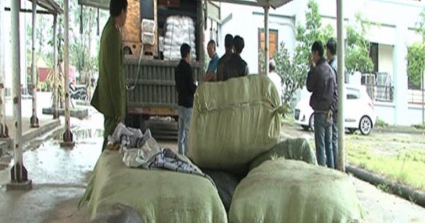 Thừa Thiên Huế: Phát hiện nhiều nguyên liệu dùng pha chế trà sữa không rõ nguồn gốc