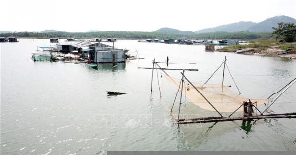 Hướng đi mới cho việc phát triển kinh tế trên lòng hồ Hướng đi mới cho việc phát triển kinh tế trên lòng hồ