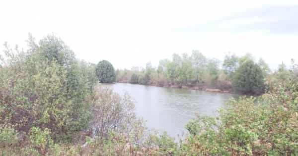 Chuyện lạ ở Bà Rịa - Vũng Tàu: Trà đá 3.000 đồng/cốc, đất 1.000 đồng/m2