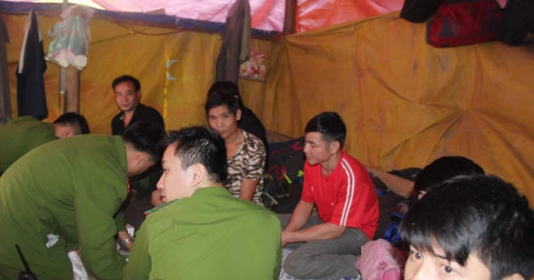 Lâm Đồng: Đột kích khu vực khai thác quặng thiếc trái phép quy mô lớn