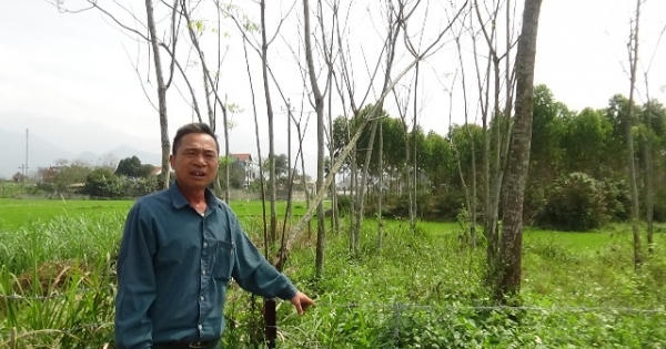 Vụ “người sống tranh…đất với người âm”: Huyện Sơn Dương hồi âm bài viết của Pháp luật Plus