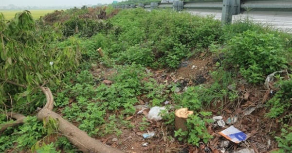 Ai ra lệnh chặt hạ hàng ngàn cây xanh hai bên cao tốc Cầu Giẽ-Ninh Bình?