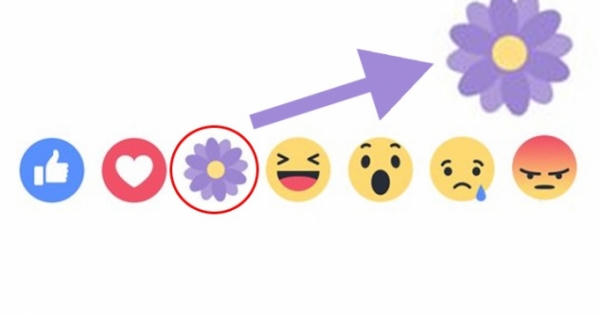 Chào mừng Ngày của mẹ Facebook có thêm nút "Biết ơn"