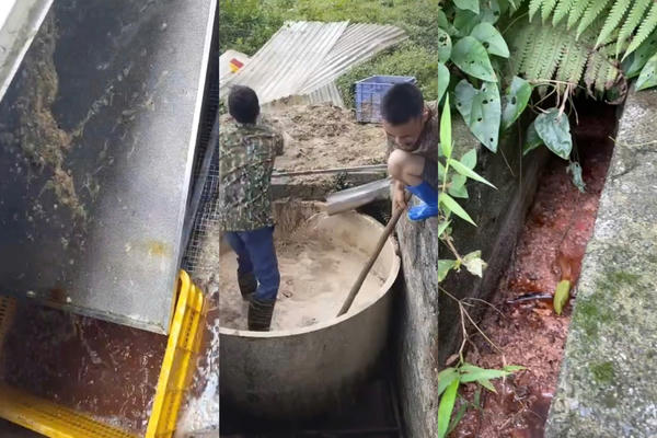 Thái Nguyên: Nhà máy hàng nghìn m² “mọc” trên đất nông lâm trường suốt nhiều năm, vì sao chưa bị xử lý?