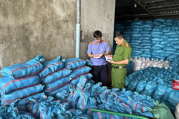 Khởi tố nữ giám đốc chỉ đạo sản xuất hàng ngàn tấn muối I-ốt giả