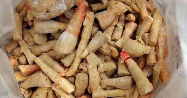 Tiêu hủy hơn 19 tấn măng bẩn