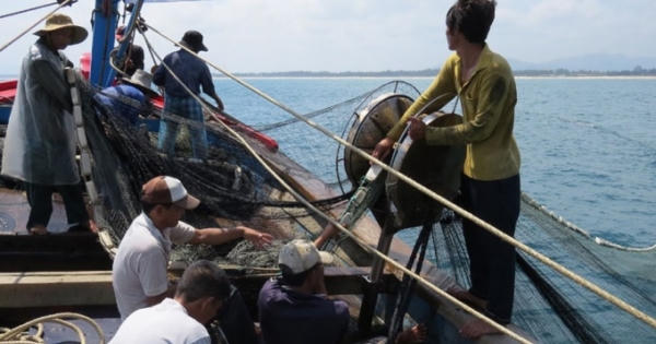 Dưỡng cá nơi biển khơi