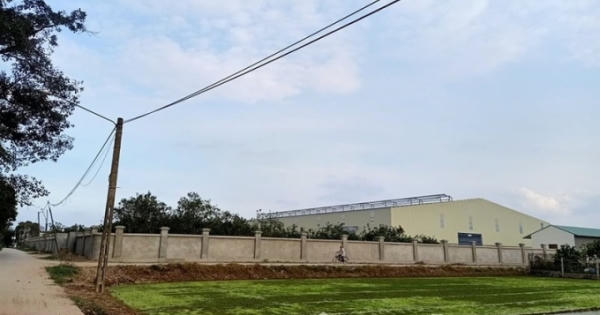 Từng tự ý cho thuê đất trái thẩm quyền, UBND xã Thọ Vinh được đưa vào kế hoạch thanh tra năm 2021