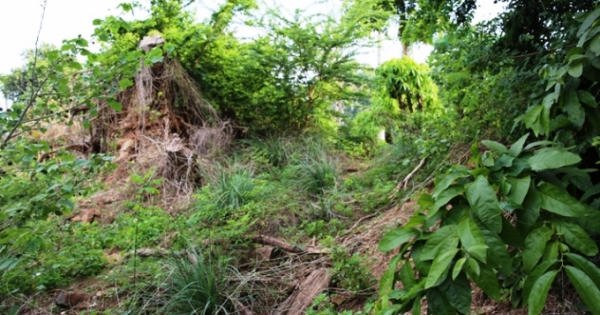 TP HCM: Di tích khảo cổ cấp quốc gia có nguy cơ ‘biến mất’ TP HCM: Di tích khảo cổ cấp quốc gia có nguy cơ ‘biến mất’