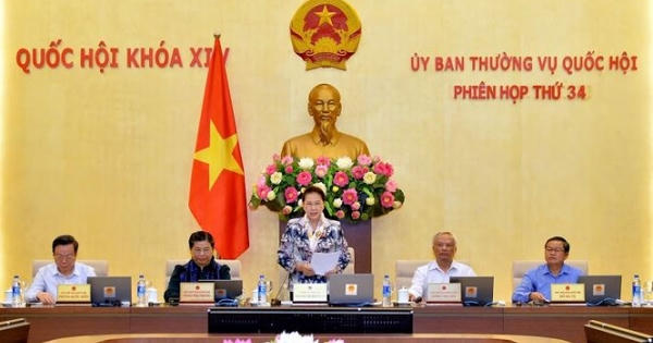 Chủ nhiệm Ủy ban Tư pháp Quốc hội: Cần giải trình rõ cơ sở tăng giá điện