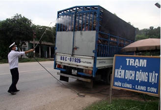 Tạm đình chỉ công tác 1 cán bộ mua bán giấy kiểm dịch vận chuyển động vật Tạm đình chỉ công tác 1 cán bộ mua bán giấy kiểm dịch vận chuyển động vật