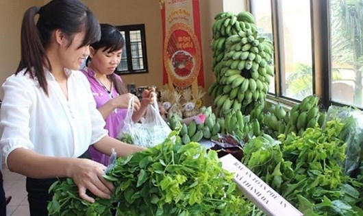 Tiêu chí rau, thịt sạch cho Hà Nội: Tại sao cần một mẫu số chung? Tiêu chí rau, thịt sạch cho Hà Nội: Tại sao cần một mẫu số chung?