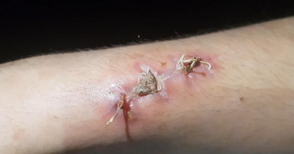 Bắc Ninh: Tạm giữ nữ chủ quán bánh xèo hành hạ nhân viên như thời trung cổ