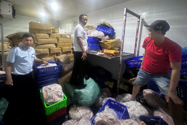 Phát hiện hơn 700kg cá, thịt đông lạnh không rõ nguồn gốc ở TP HCM