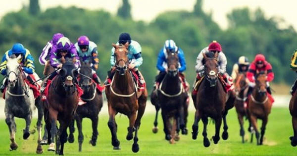 Slide - Điểm tin thị trường: Trường đua ngựa đầu tiên tại Thủ đô dự kiến hoạt động từ năm 2020