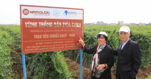 Người tiểu đường hoang mang trước ma trận sản phẩm trị bệnh Người tiểu đường hoang mang trước ma trận sản phẩm trị bệnh