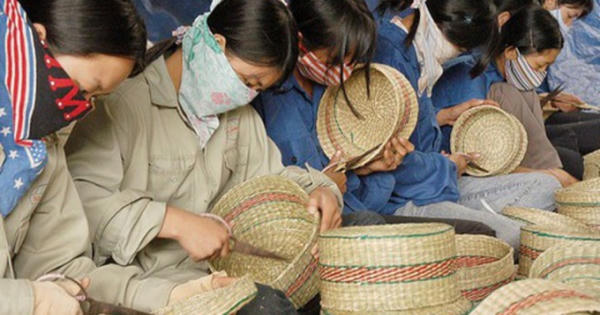 Thuế và doanh nghiệp 'nhỏ li ti'