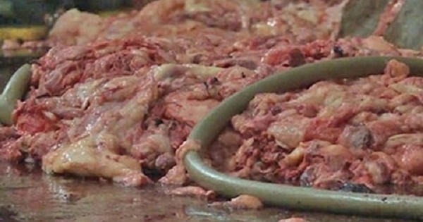 Quảng Nam: Cơ sở chế biến mỡ gây ô nhiễm vẫn ngang nhiên hoạt động