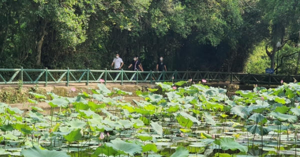 Tháng năm về thăm quê hương chung của người dân đất Việt