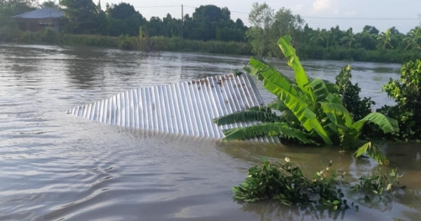 Liên tiếp xảy ra sạt lở ở huyện Châu Thành