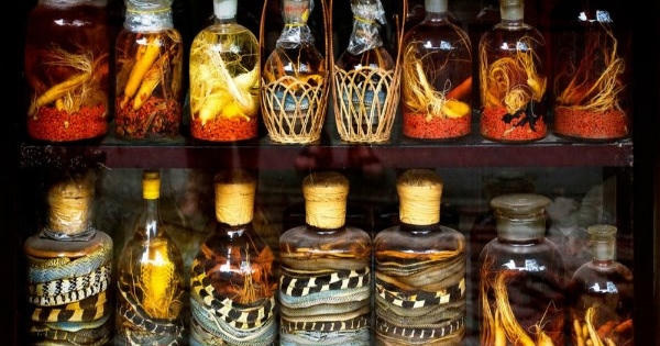 'Thần chết' rình rập quanh bình rượu ngâm