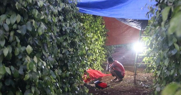 Đắk Lắk: Người đàn ông tử vong bất thường trong rẫy