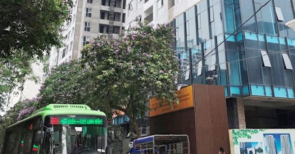 Bất cập làm bãi đỗ xe trong công viên: Tốn kém, lãng phí Bất cập làm bãi đỗ xe trong công viên: Tốn kém, lãng phí