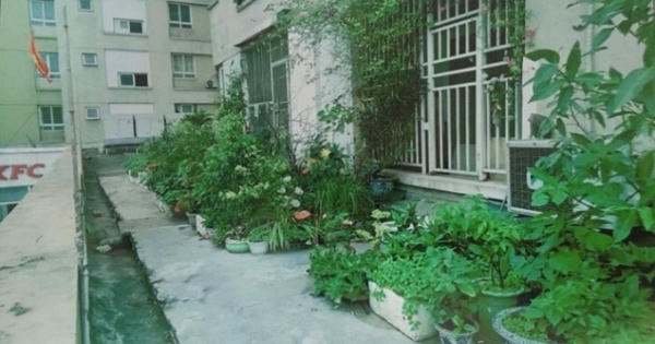 UBND phường Kim Liên chậm xử lý sai phạm?