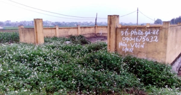 Ô nhiễm kinh hoàng ở Chi Đông: Những cảnh báo chết người!