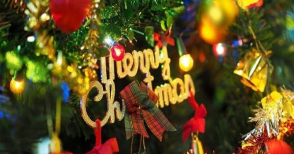 Những câu chuyện nhuốm màu huyền bí về cây thông Noel Những câu chuyện nhuốm màu huyền bí về cây thông Noel